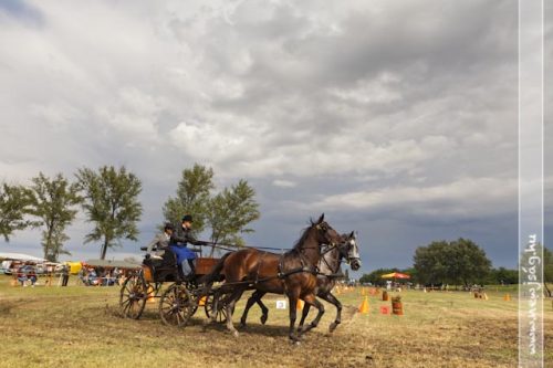 Tekintse meg galériánkat! (1/29)