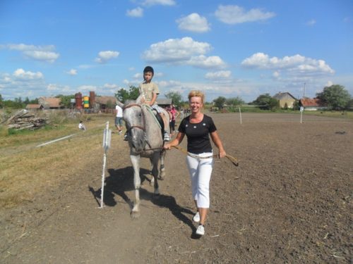 Tekintse meg galériánkat! (1/17)