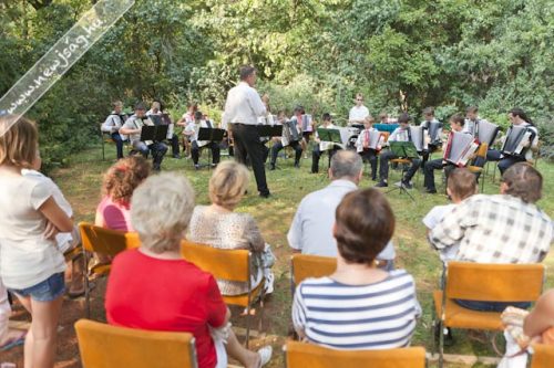 Tekintse meg galériánkat! (1/17)