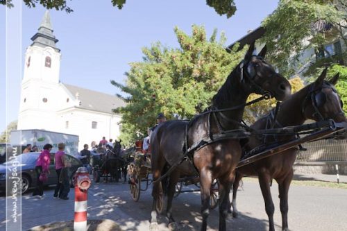 Tekintse meg galériánkat! (1/41)