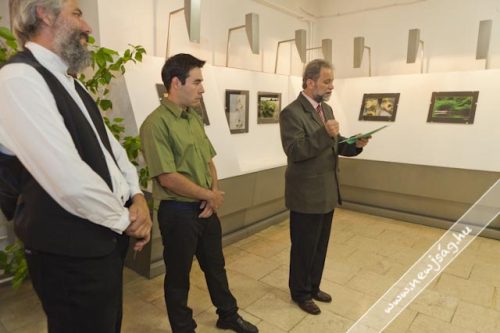 Tekintse meg galériánkat! (1/17)