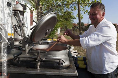 Tekintse meg galériánkat! (1/25)