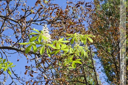 Tekintse meg galériánkat! (1/8)