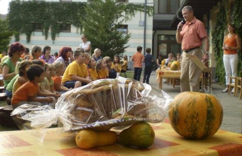 Tekintse meg galériánkat! (1/27)
