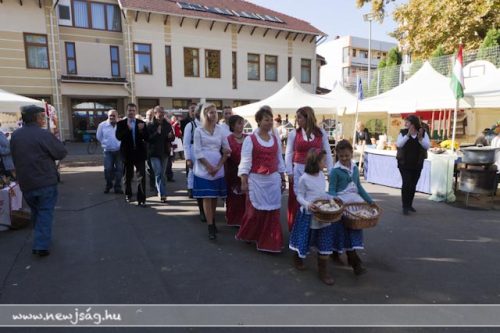 Tekintse meg galériánkat! (1/70)