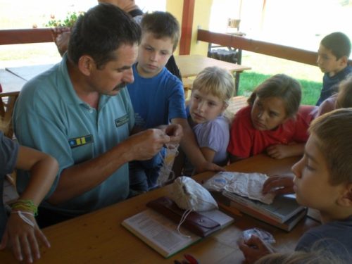 Tekintse meg galériánkat! (1/13)