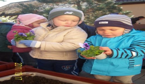 Tekintse meg galériánkat! (1/25)