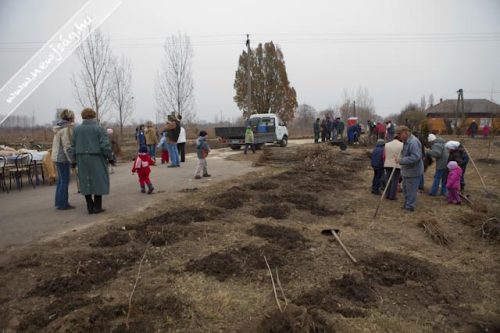 Tekintse meg galériánkat! (1/33)