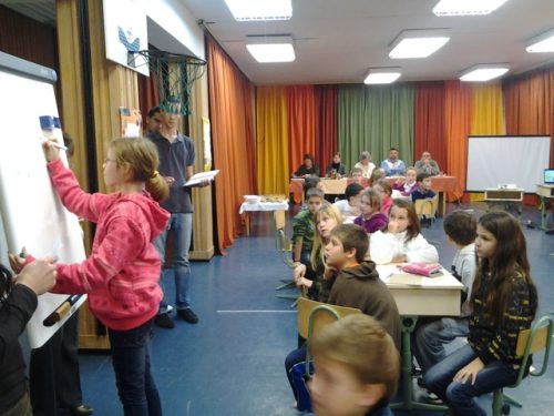 Tekintse meg galériánkat! (1/10)