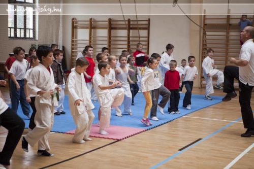 Tekintse meg galériánkat! (1/46)