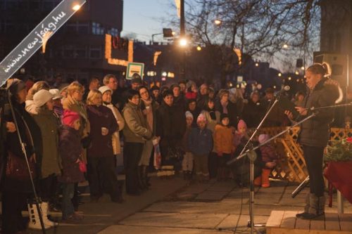 Tekintse meg galériánkat! (1/18)