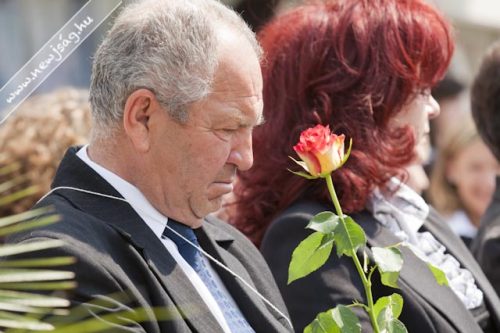 Tekintse meg galériánkat! (1/15)