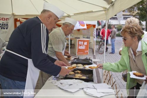 Tekintse meg galériánkat! (1/19)