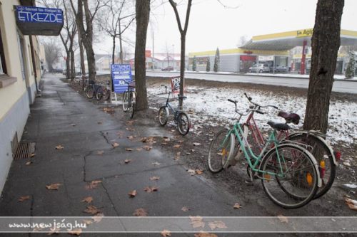 Tekintse meg galériánkat! (1/16)