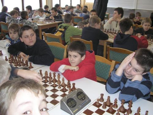 Tekintse meg galériánkat! (1/15)