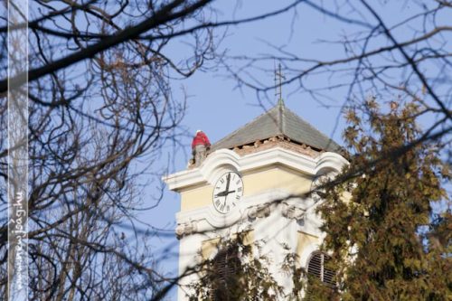 Tekintse meg galériánkat! (1/12)