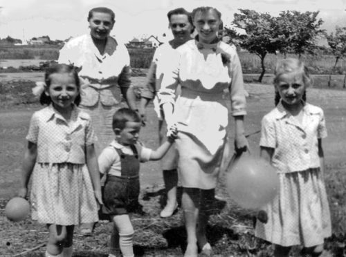 Tekintse meg galériánkat! (1/2)