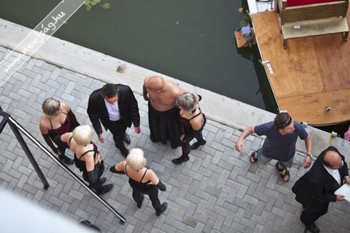 Tekintse meg galériánkat! (1/24)