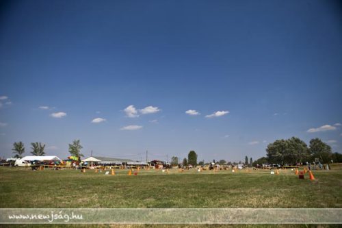 Tekintse meg galériánkat! (1/93)