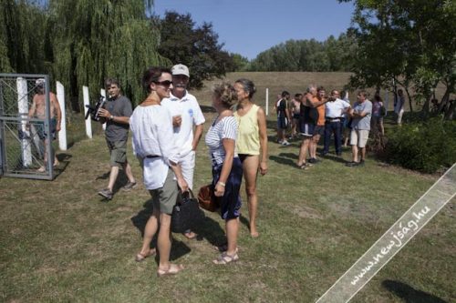 Tekintse meg galériánkat! (1/21)