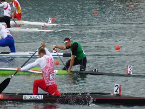 Tekintse meg galériánkat! (1/28)