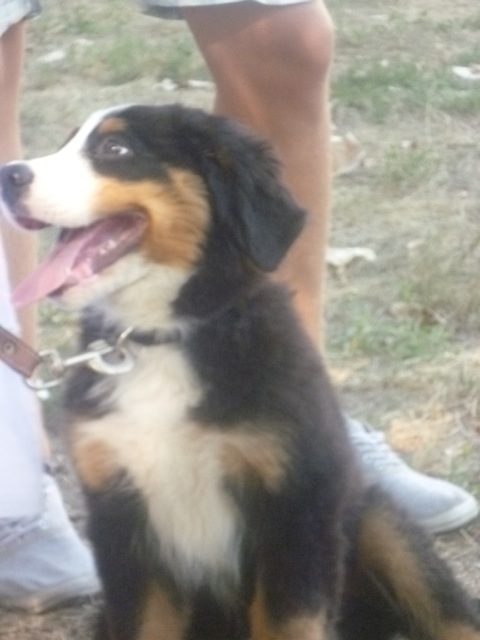 Tekintse meg galériánkat! (1/33)