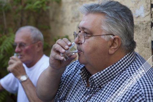 Tekintse meg galériánkat! (1/50)