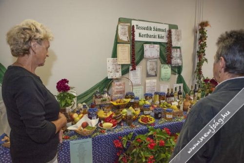 Tekintse meg galériánkat! (1/27)