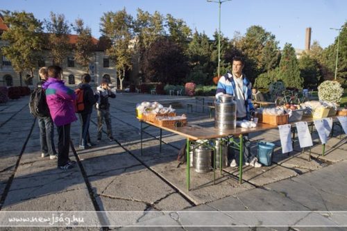 Tekintse meg galériánkat! (1/17)