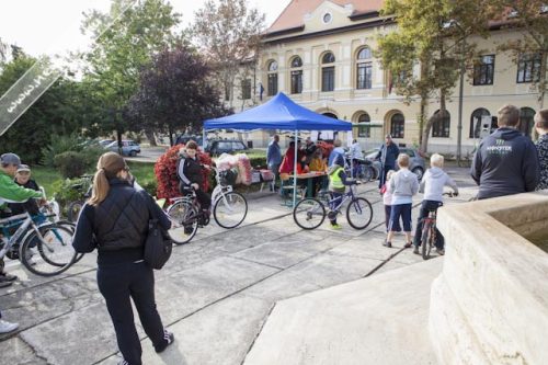 Tekintse meg galériánkat! (1/25)