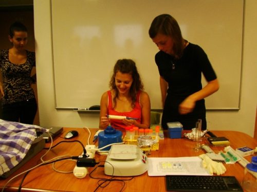 Tekintse meg galériánkat! (1/14)