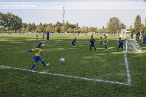 Tekintse meg galériánkat! (1/68)