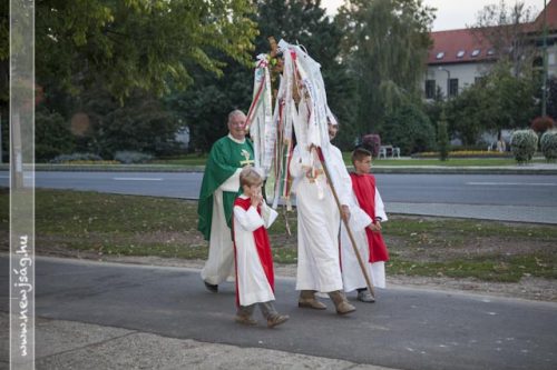 Tekintse meg galériánkat! (1/16)