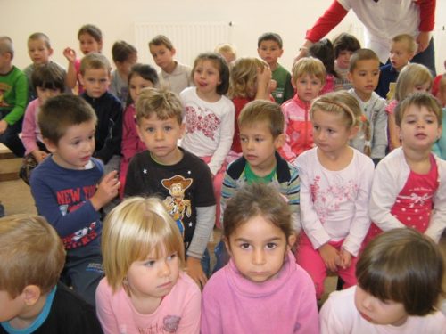 Tekintse meg galériánkat! (1/16)