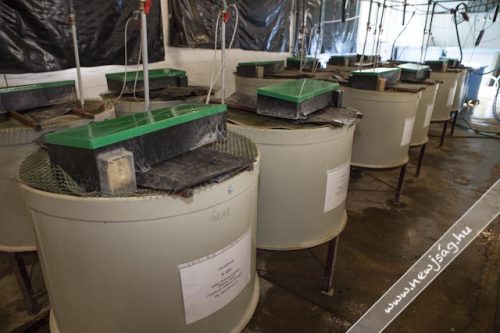 Tekintse meg galériánkat! (1/12)