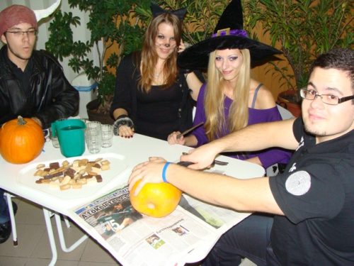 Tekintse meg galériánkat! (1/16)