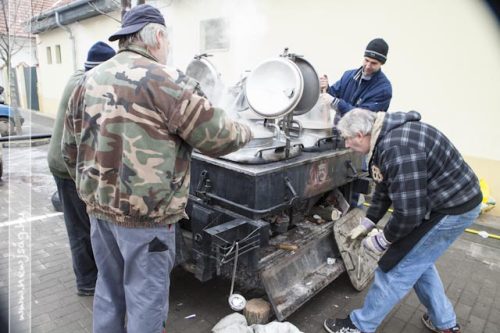 Tekintse meg galériánkat! (1/14)