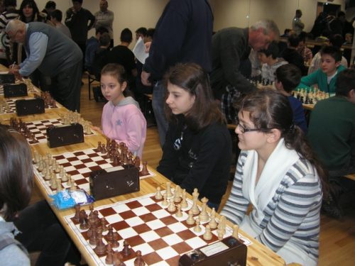 Tekintse meg galériánkat! (1/12)