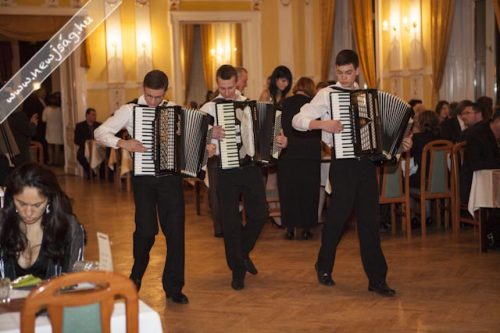 Tekintse meg galériánkat! (1/33)