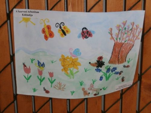 Tekintse meg galériánkat! (1/34)