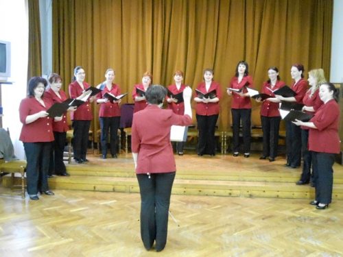 Tekintse meg galériánkat! (1/13)