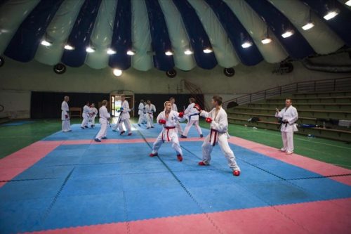 Tekintse meg galériánkat! (1/38)