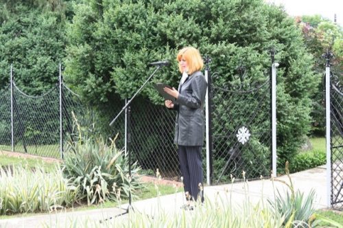 Tekintse meg galériánkat! (1/23)