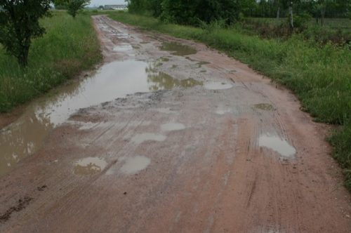 Tekintse meg galériánkat! (1/9)