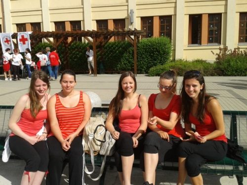 Tekintse meg galériánkat! (1/15)