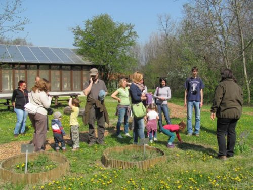Tekintse meg galériánkat! (1/8)