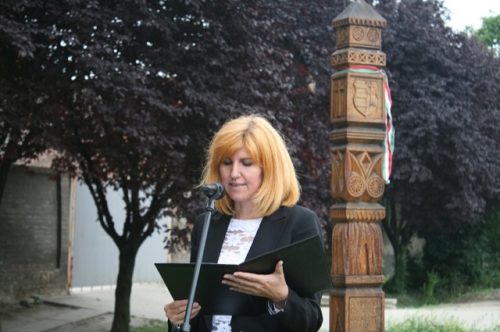 Tekintse meg galériánkat! (1/25)