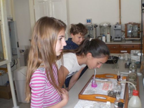 Tekintse meg galériánkat! (1/9)