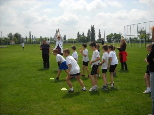 Tekintse meg galériánkat! (1/7)