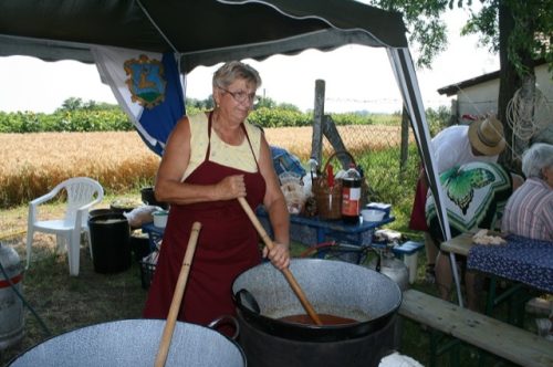 Tekintse meg galériánkat! (1/33)